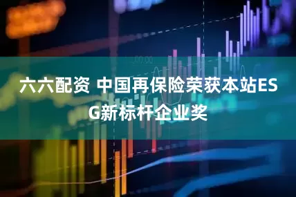 六六配资 中国再保险荣获本站ESG新标杆企业奖