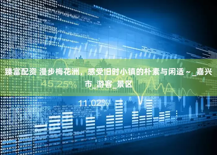 臻富配资 漫步梅花洲，感受旧时小镇的朴素与闲适～_嘉兴市_游客_景区