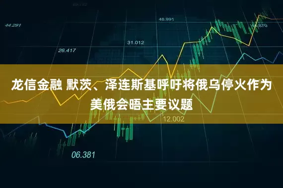 龙信金融 默茨、泽连斯基呼吁将俄乌停火作为美俄会晤主要议题