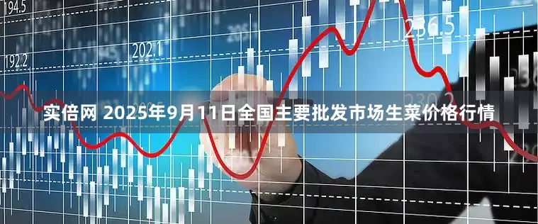 实倍网 2025年9月11日全国主要批发市场生菜价格行情