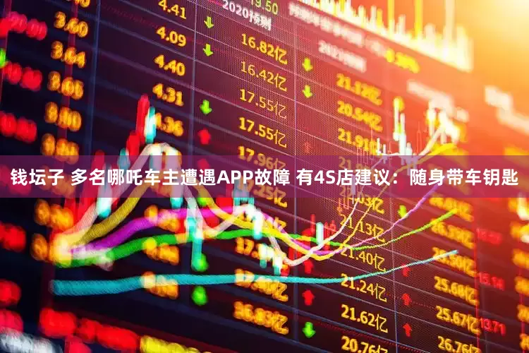 钱坛子 多名哪吒车主遭遇APP故障 有4S店建议：随身带车钥匙