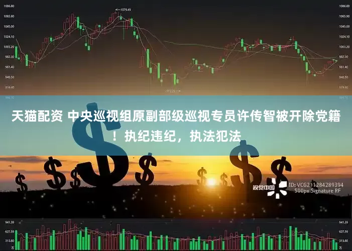 天猫配资 中央巡视组原副部级巡视专员许传智被开除党籍！执纪违纪，执法犯法
