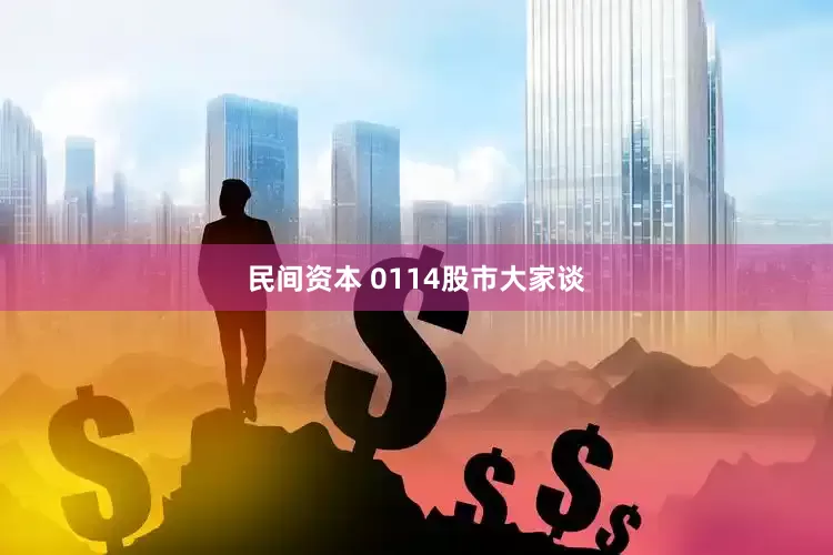 民间资本 0114股市大家谈