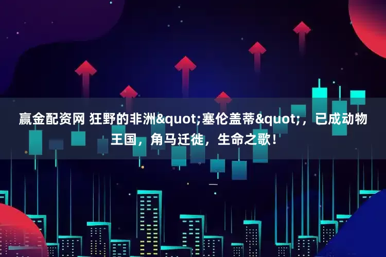赢金配资网 狂野的非洲"塞伦盖蒂"，已成动物王国，角马迁徙，生命之歌！