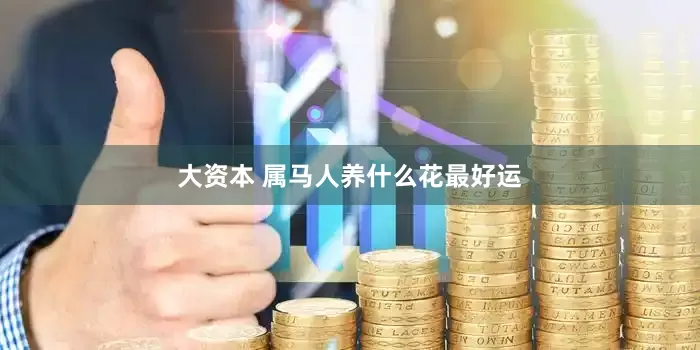 大资本 属马人养什么花最好运