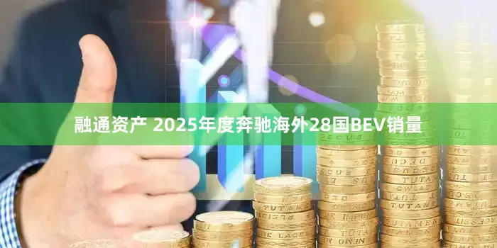 融通资产 2025年度奔驰海外28国BEV销量